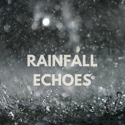 Rainfall Echoes