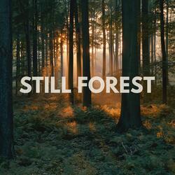 Still Forest