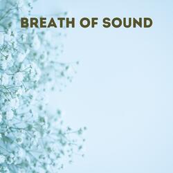 Breath of Sound