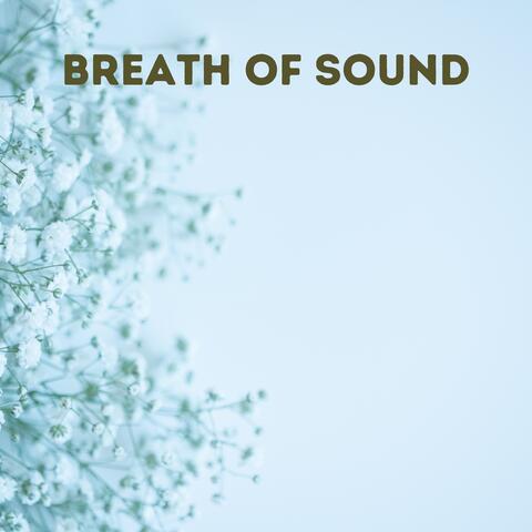 Breath of Sound