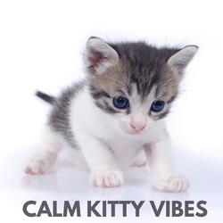 Calm Kitty Vibes