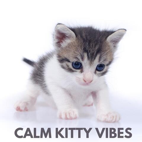 Calm Kitty Vibes