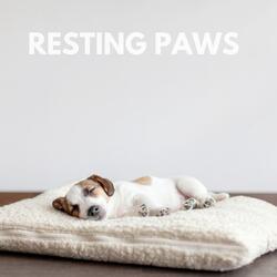 Resting Paws