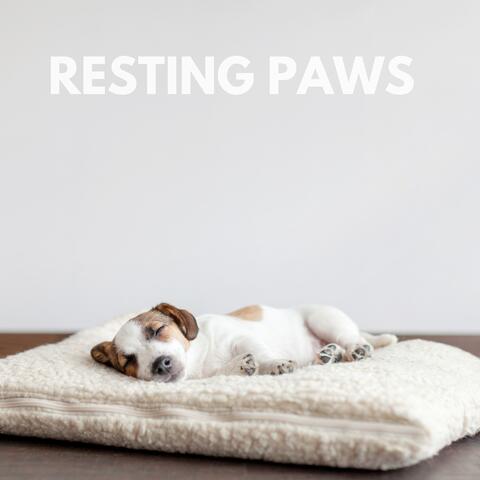 Resting Paws