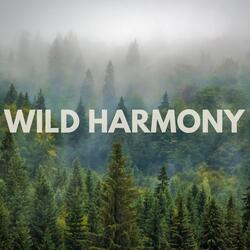 Wild Harmony