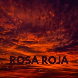 Rosa Roja