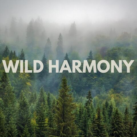 Wild Harmony