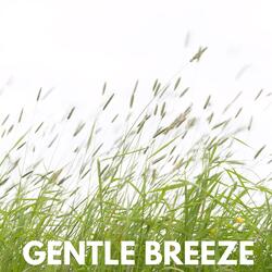 Gentle Breeze