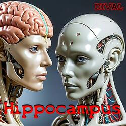 Hippocampus