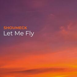 Let Me Fly