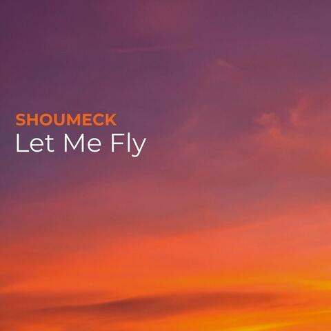 Let Me Fly