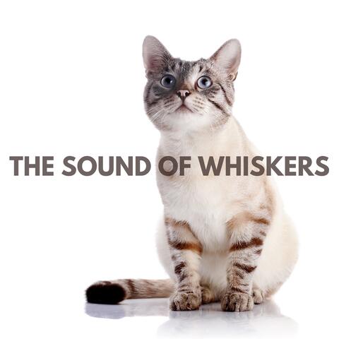 The Sound of Whiskers