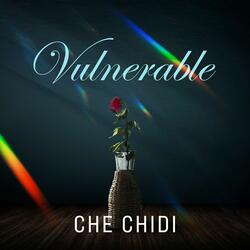 Vulnerable