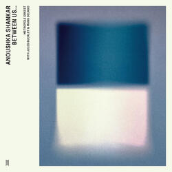Flight feat. Manu Delago