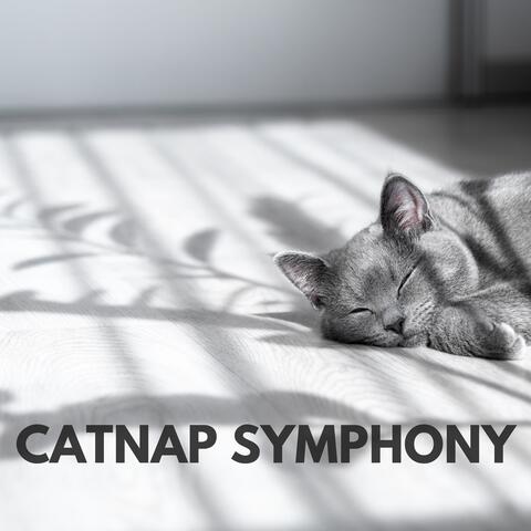 Catnap Symphony