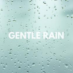 Gentle Rain