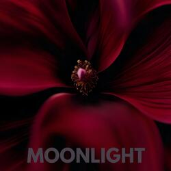 Moonlight