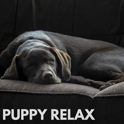 Puppy Relax