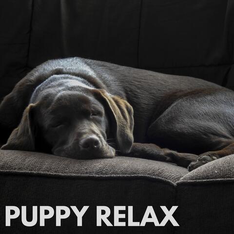 Puppy Relax