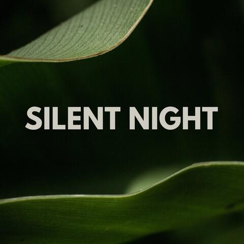 Silent Night