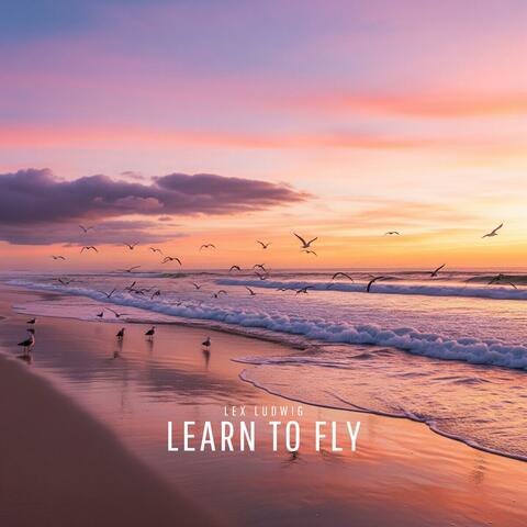Learn to Fly