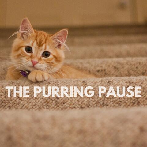 The Purring Pause