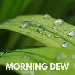 Morning Dew