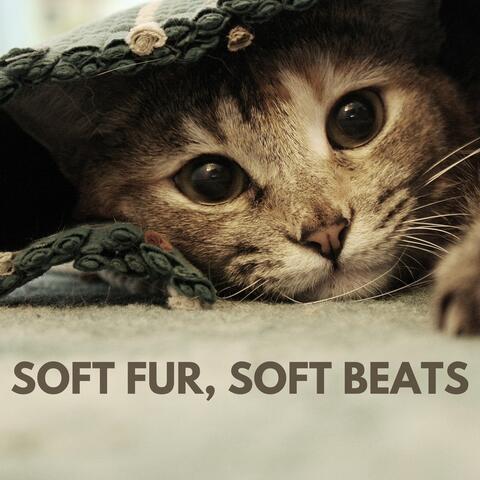 Soft Fur, Soft Beats