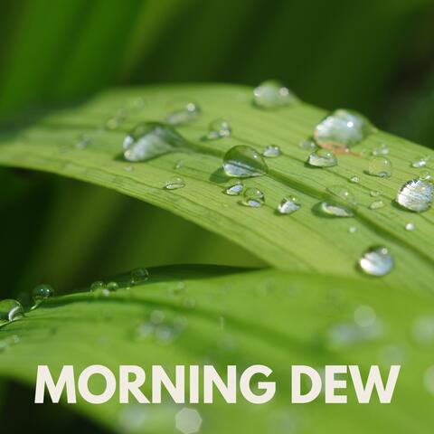 Morning Dew