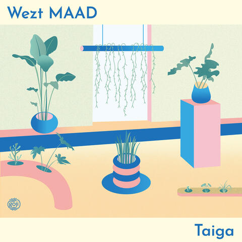 Taiga