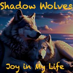Joy in My Life