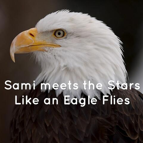 Like an Eagle Flies