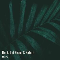 The Art of Peace & Nature