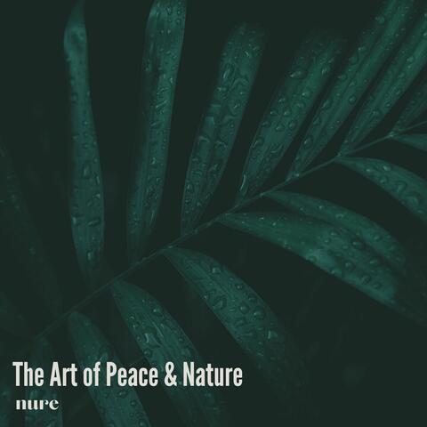 The Art of Peace & Nature