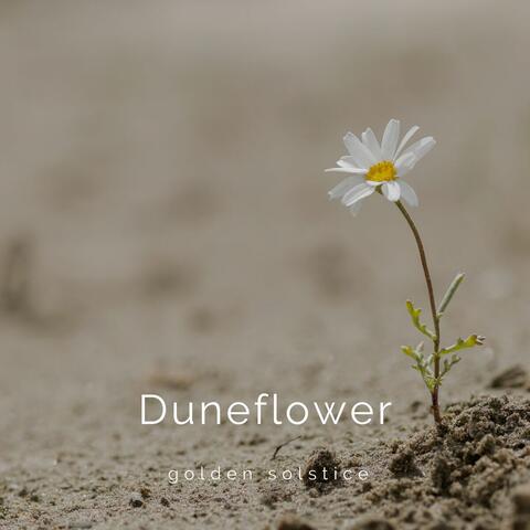 Duneflower