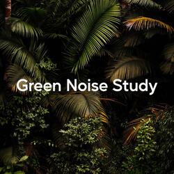 Study with Soft Sound