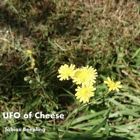 UFO of Cheese