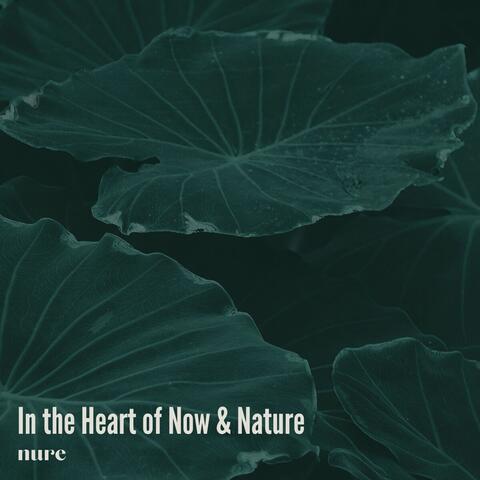 In the Heart of Now & Nature