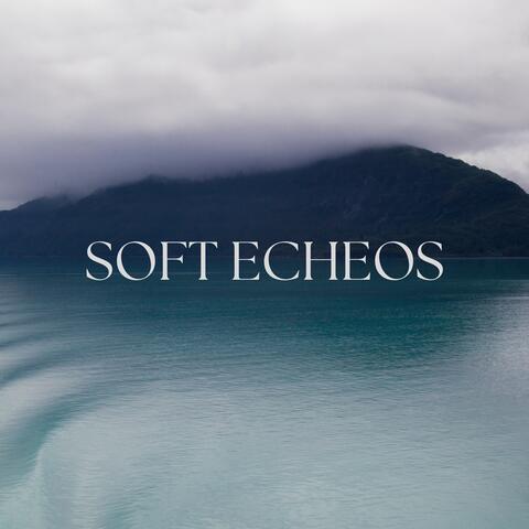 Soft Echoes