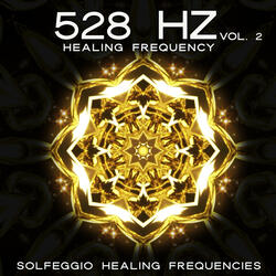 24 528Hz V3