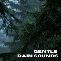Gentle Rain Sounds Harmony