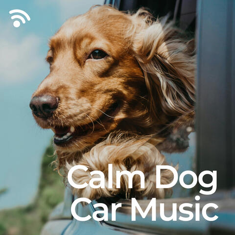 Calm Dog Car Music