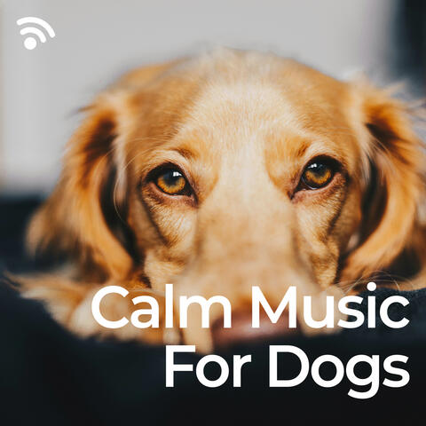 Calm Music for Dogs