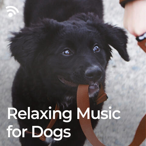 Relaxing Music for Dogs