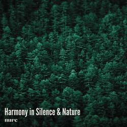 Harmony in Silence & Nature