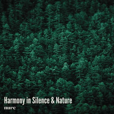 Harmony in Silence & Nature