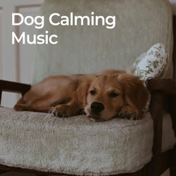 Calm Dog Serenade