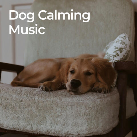 Dog Calming Music