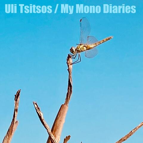 My Mono Diaries