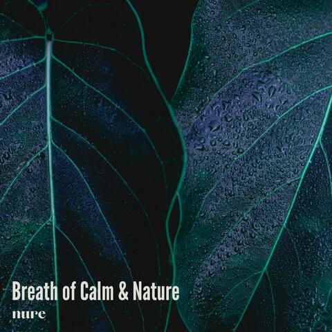 Breath of Calm & Nature